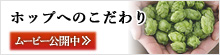 �z�b�v�ւ̂������ ���[�r�[���J����