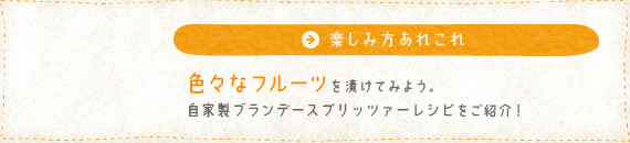 色々なフルーツを漬けてみよう。自家製ブランデースプリッツァーレシピをご紹介！