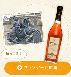 知ってる？　ブランデー豆知識