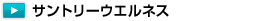�T���g���[�E�G���l�X