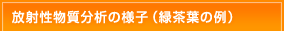 放射性物質分析の様子（緑茶葉の例）