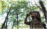 �摜�F�T���g���[�u�V�R���̐X�v