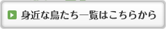 �g�߂Ȓ������ꗗ�͂����炩��