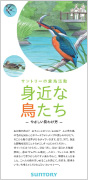 身近な鳥たち