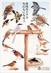庭にくる鳥