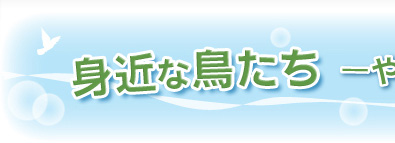 �g�߂Ȓ����� �ώ@�K�C�h