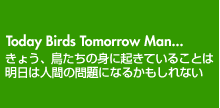 Today Birds Tomorrow Man...�@���傤�A�������̐g�ɋN���Ă��邱�Ƃ͖����͐l�Ԃ̖��ɂȂ邩������Ȃ�
