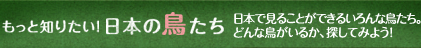 �����ƒm�肽���I���{�̒�����