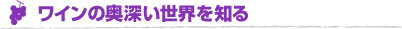���C���̉��[�����E��m��