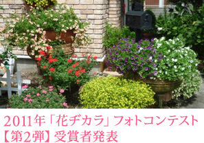2011�N�u�ԃa�J���v�t�H�g�R���e�X�g�y��2�e�z��܎Ҕ��\