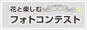 �ԂƊy���ށ@�t�H�g�R���e�X�g