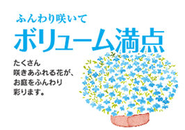 �ӂ���炢�� �{�����[�����_