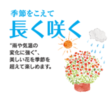 �G�߂������� �����炭