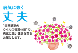 �a�C�ɋ��� ��v