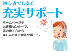 ���S�҂ł����S �[���T�|�[�g