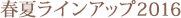 �t�ă��C���A�b�v2013