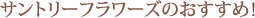 �T���g���[�t�����[�Y�̂������߁I
