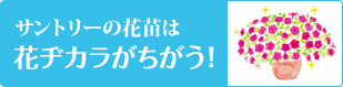 �T���g���[�̉ԕc�͉ԃa�J�����������I