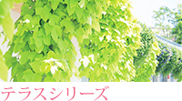 �T�t�B�j�A�T�}�[