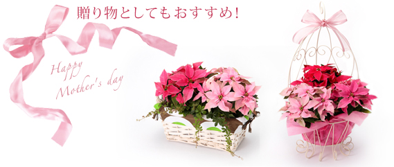 ���蕨�Ƃ��Ă��������߁I