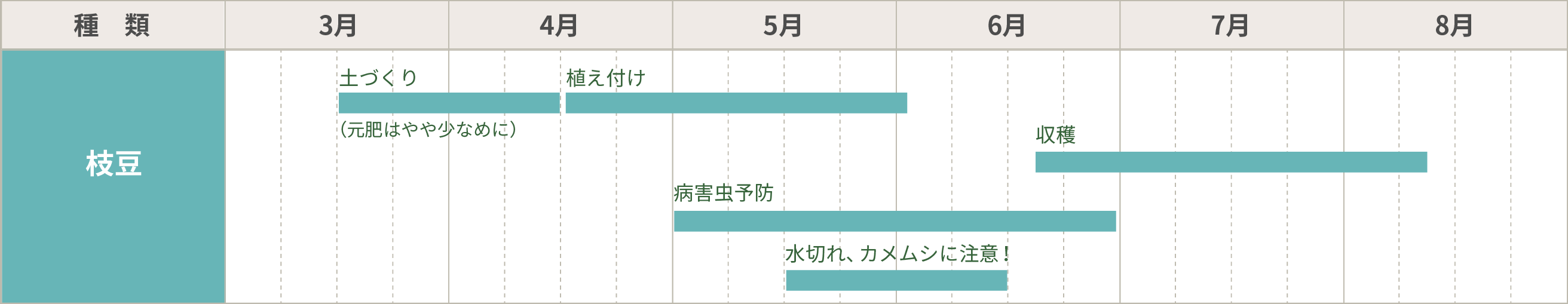 枝豆の栽培カレンダー