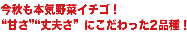 ���H���{�C��؃C�`�S�I�h�Â��h�h��v���h�ɂ��������2�i��I