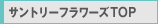 �T���g���[�t�����[�YTOP