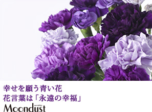 �K�����肤���� �Ԍ��t�́u�i���̍K���v Moondust