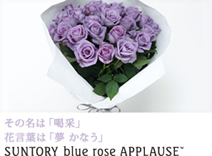 ���̖��́u���сv �Ԍ��t�́u�� ���Ȃ��v SUNTORY blue rose APPLAUSE