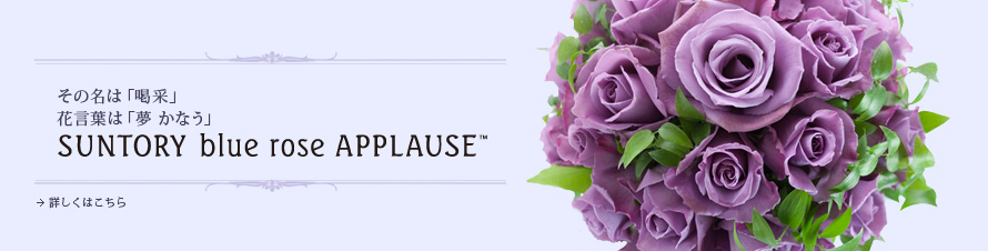 ���̖��́u���сv �Ԍ��t�́u�� ���Ȃ��v SUNTORY blue rose APPLAUSE
