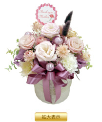 �C���v���U�[�u�h�E�A�����W�����g�u�v���e�B�s���N�iL�j�v
