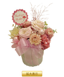 �C���v���U�[�u�h�E�A�����W�����g�u�v���e�B�s���N�iM�j�v