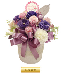 �C���v���U�[�u�h�E�A�����W�����g�u�X�v�����O�o�C�I���b�g�iL�j�v