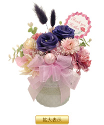 �C���v���U�[�u�h�E�A�����W�����g�u�X�v�����O�o�C�I���b�g�iM�j�v