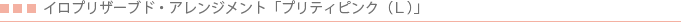 �C���v���U�[�u�h�E�A�����W�����g �v���e�B�s���N�iL�j