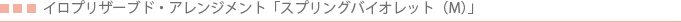 �C���v���U�[�u�h�E�A�����W�����g �o�C�I���b�g�iM�j