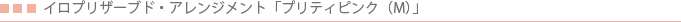 �C���v���U�[�u�h�E�A�����W�����g �v���e�B�s���N�iM�j