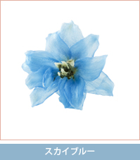 �X�J�C�u���[