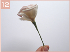 �g���R�L�L���E�̃s�A�X �e�[�s���O�摜12