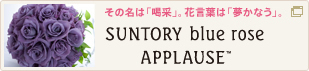 ���̖��́u���сv�B�Ԍ��t�́u�����Ȃ��v�BSUNTORY blue rose APPLAUSE