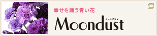 �K�����肤���� Moondust
