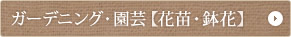 �K�[�f�j���O�E���|�y�ԕc�E���ԁz