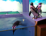 Ｐｅｎｇｕｉｎ　ＢＡＲ　Ｆａｉｒｙ