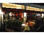 ＣＩＧＡＲ　ＢＡＲ　ＣＯＨＩＢＡ　ＡＴＭＯＳＰＨＥＲＥ　ＫＡＳＵＭＩＣＨＯ