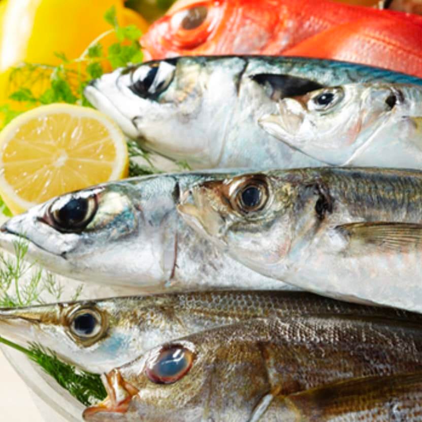 湘南の魚とワインの店 ヒラツカ