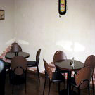 Bar Cactus