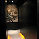 ｌｏｕｎｇｅｂａｒ　ＢＲＵＴ