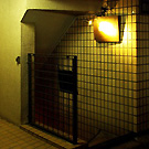 Bar W