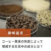 美味追求 コーヒー果実の熟度によって増減する生豆中の成分とは？