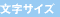 �����T�C�Y